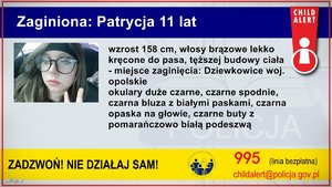 Grafika Alertu